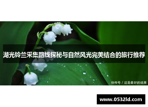 湖光铃兰采集路线探秘与自然风光完美结合的旅行推荐
