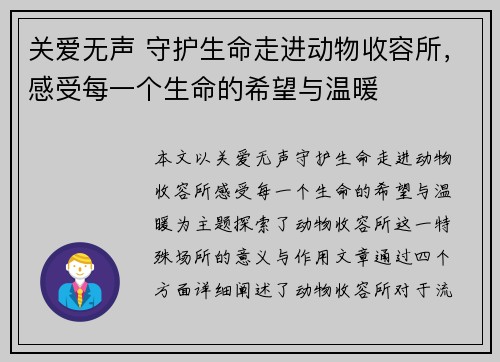 关爱无声 守护生命走进动物收容所，感受每一个生命的希望与温暖